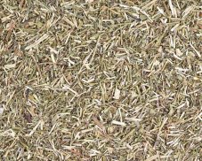 Bylinný čaj Šanta kočičí nať - řez (Nepeta cataria)