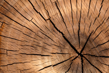 Vonné tyčinky s dřevitou vůní - Vůně tyčinek - Dřevitá