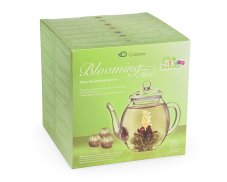 Dárkový set Creano Green Tea - skleněná konvice a 6 ks čaje