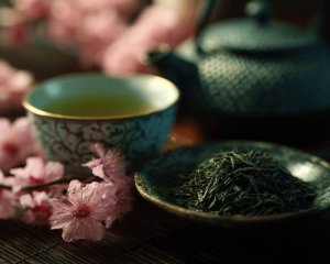 Jarní období japonského zeleného čaje
