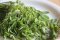 Moringa olejodárná (Moringa oleifera)