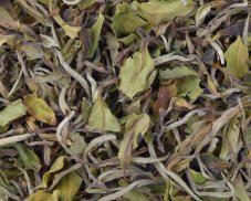 Bílý čaj China Fujian Pai Mu Tan (Bílá Pivoňka) std. 6900