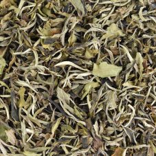 Bílý čaj China Yunnan Simao Enle White Peony BIO Pai Mu Tan (Bílá pivoňka) - 50 g