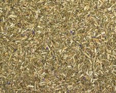 Bylinný čaj Plicník nať (Pulmonariae herba)