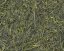 Zelený čaj Japan Gyokuro Superior Kyoto Uji - 100 g