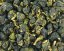 Polozelený čaj Formosa Long Feng Xia Oolong - 50 g