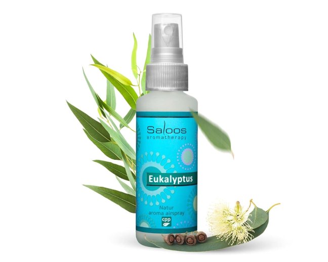 Airspray - Eukalyptus 50ml - Saloos