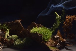 Zapálená vonná tyčinka Zapálená vonná tyčinka