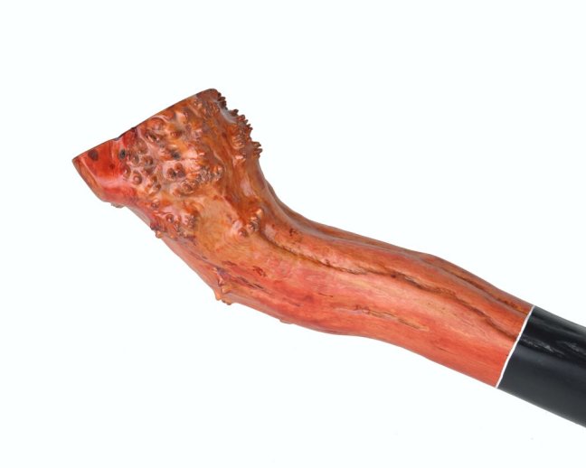 Didgeridoo 2016, bříza