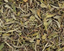 Bílý čaj China Fujian Pai Mu Tan (Bílá pivoňka) std. 6902