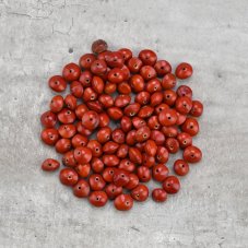 Korálky dřevěné pecky, červené, 25 g