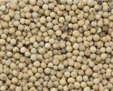 Pepř bílý celý 40 g