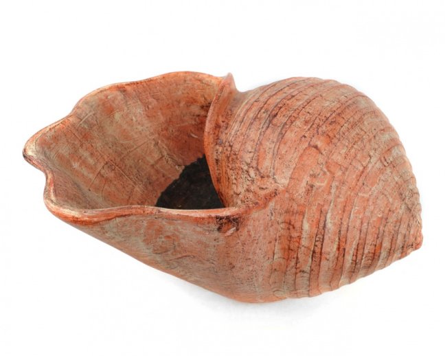 Keramický květináč Mušle velká červená 29 cm