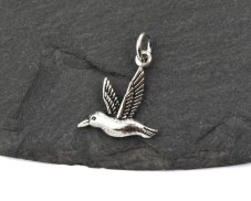 Stříbrný přívěsek Ancient Kolibřík