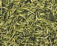 Zelený čaj Japan Kukicha Karigane Kyoto Uji