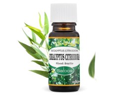 Esenciální olej Eukalyptus citriodora 10ml
