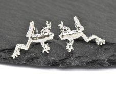 Stříbrné náušnice puzety - Žabky