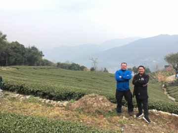 Výlet na čajovou plantáž