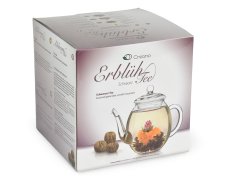 Dárkový set Creano Black Tea - skleněná konvice a 6 ks čaje