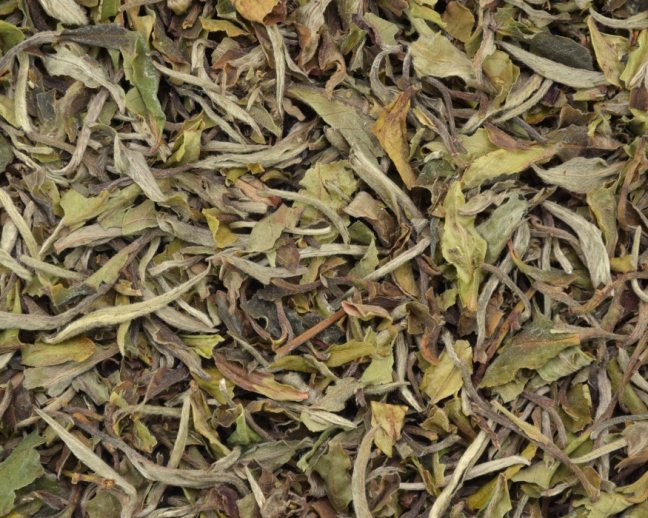 Bílý čaj China Fujian Pai Mu Tan (Bílá pivoňka) std. 6902 - Gramáž čaje: 100 g