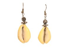 Náušnice mušle kauri 2