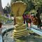 Buddha - osvícený princ a jeho cesta k probuzení