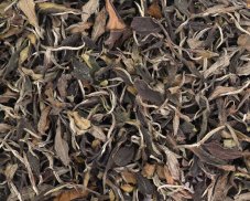 Bílý čaj Grusia Nigozeti Imereti White