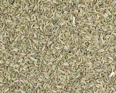 Bylinný čaj Fenykl plod - celý (Foeniculi)