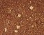 Rooibos Oriental Hello Sunshine - 80 g