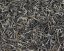 Zelený čaj China Yunnan Lincang Song Zhen Green Pine Needle - 100 g