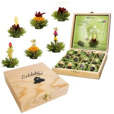 Kolekce čajů Creano Green Tea - 12 ks