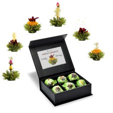 Kolekce čajů Creano Green Tea - 6 ks