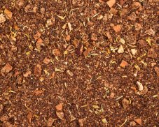 Rooibos Apple - Caramel