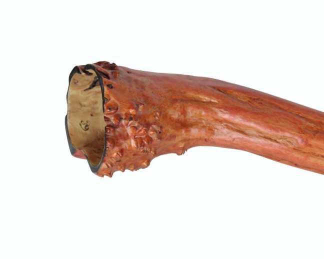 Didgeridoo 2016, bříza