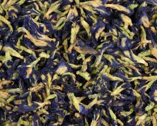 Modrý čaj Clitoria ternatea