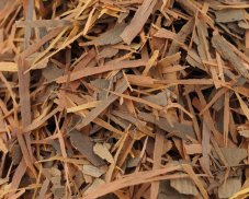 Lapacho kůra - řez