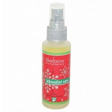 Airspray - Vánoční sen 50ml - Saloos