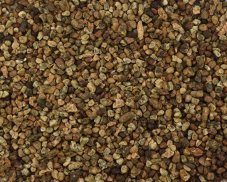 Kardamom semena 15g