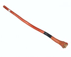 Didgeridoo 2016, bříza