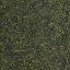 Zelený čaj Japan Shizuoka Sencha Shione - 100 g
